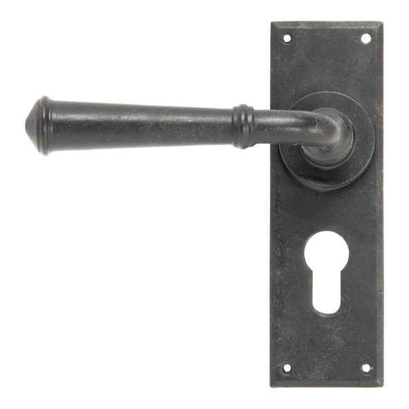 92054  152 x 48 x 5mm  External Beeswax  From The Anvil Regency Lever Euro Lock Set