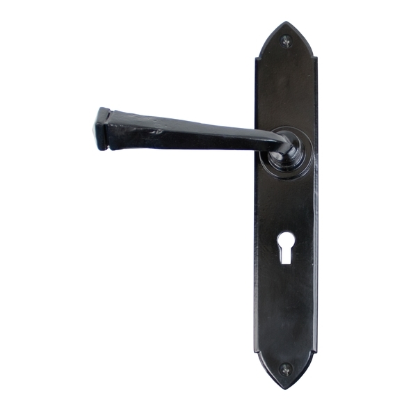 33276  248 x 44 x 5mm  Black  From The Anvil Gothic Lever Lock Set