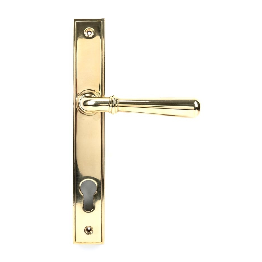 46529  244 x 36 x 13mm  Polished Brass  From The Anvil Newbury Slimline Lever Espag. Lock Set