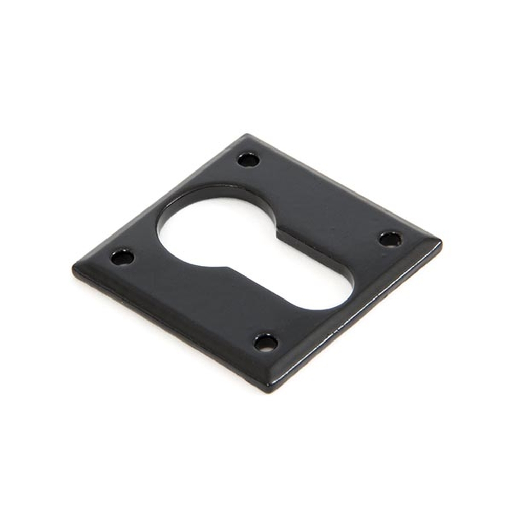 83655 • 40 x 40mm • Black • From The Anvil Avon Euro Escutcheon