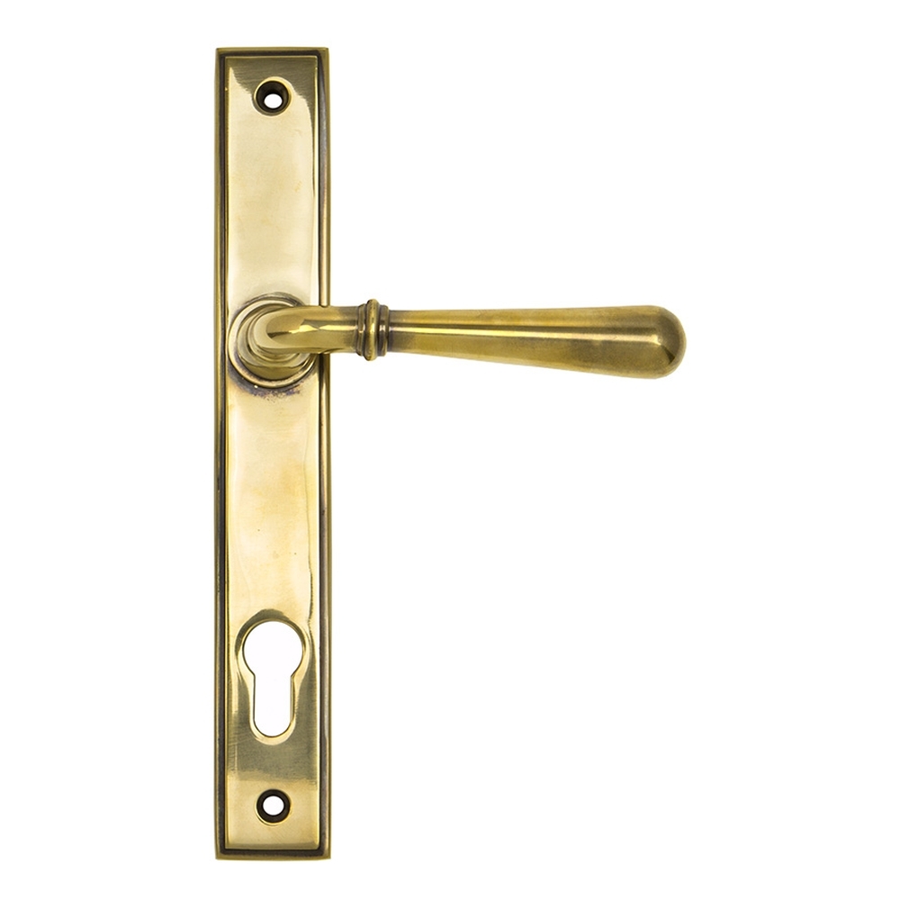 91413  244 x 36 x 13mm  Aged Brass  From The Anvil Newbury Slimline Lever Espag. Lock Set