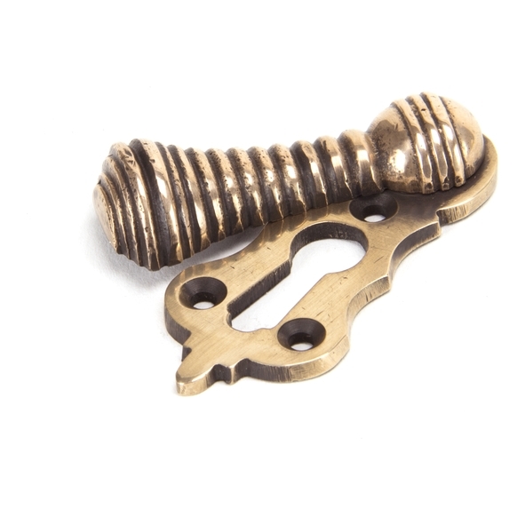91929 • 58 x 25mm • Polished Bronze • From The Anvil Beehive Escutcheon