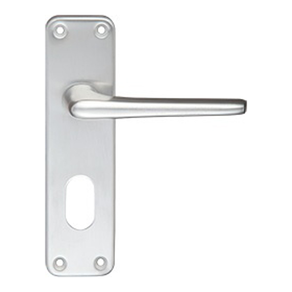ZCA21OPSA  Oval Cylinder [48.5mm]  Satin Aluminium  Zoo Hardware Face Fixing Levers On Backplates